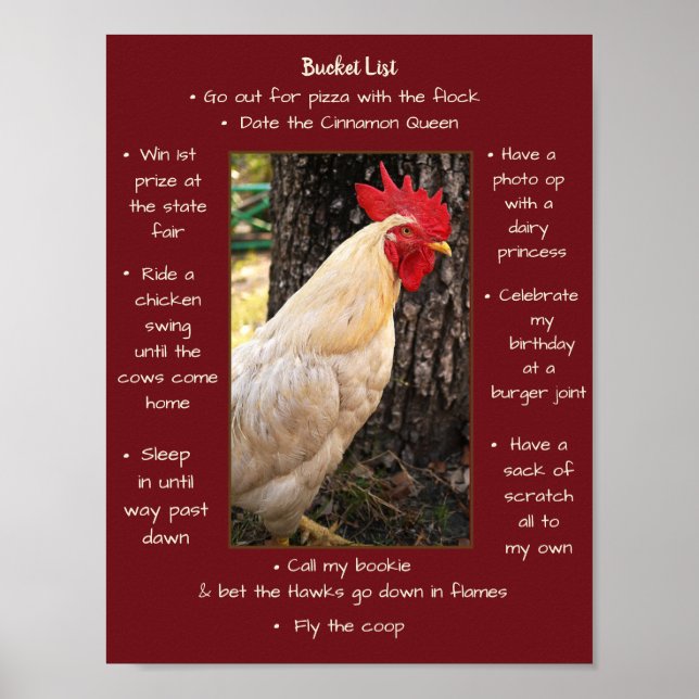 Poster-Chicken-Eimer Poster (Vorne)