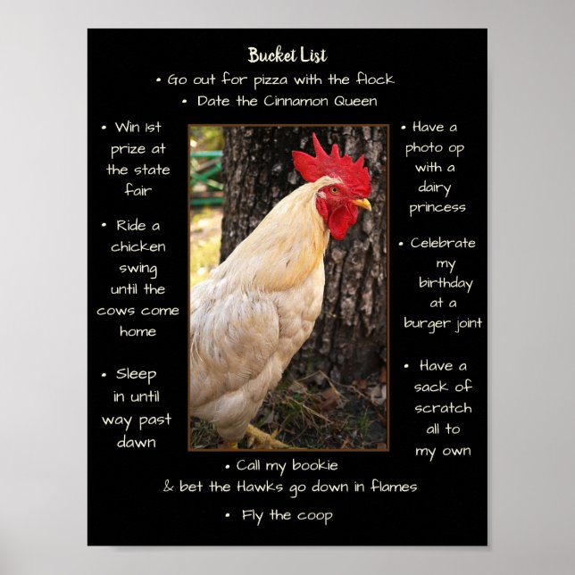 Poster-Chicken-Eimer Poster (Vorne)