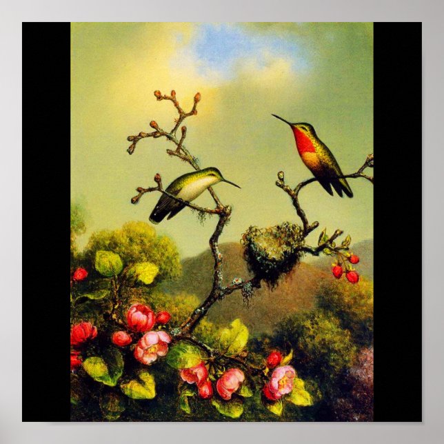 Poster-Classic/Vintag-Martin Johnson Heade 5 Poster (Vorne)