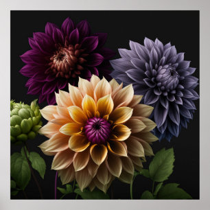 Poster Dahlia Blume