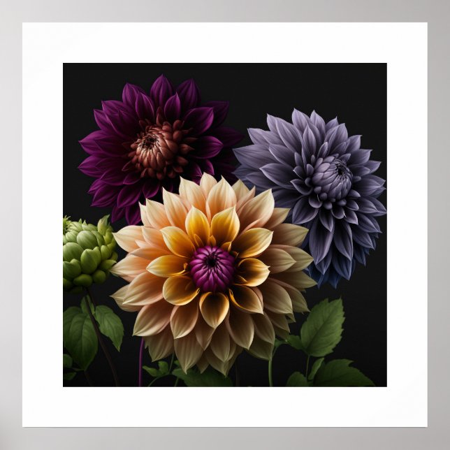 Poster Dahlia Blume (Vorne)