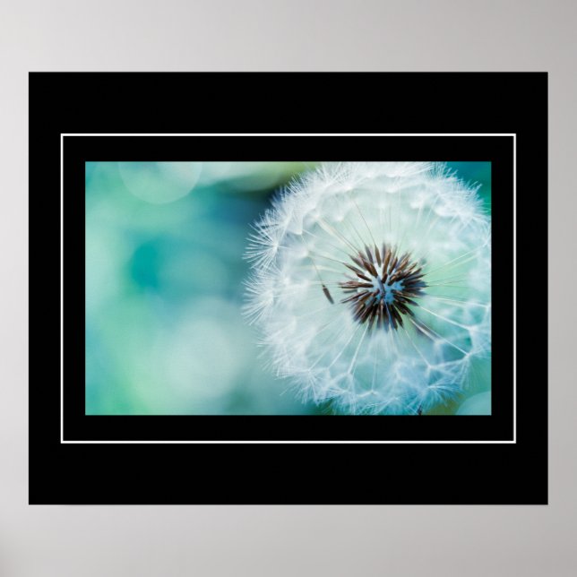 Poster-Dandelion Poster (Vorne)