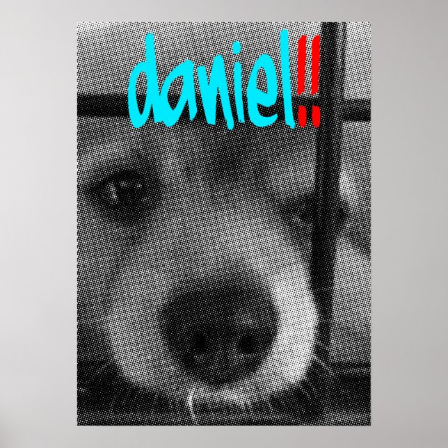 poster_daniel! poster (Vorne)
