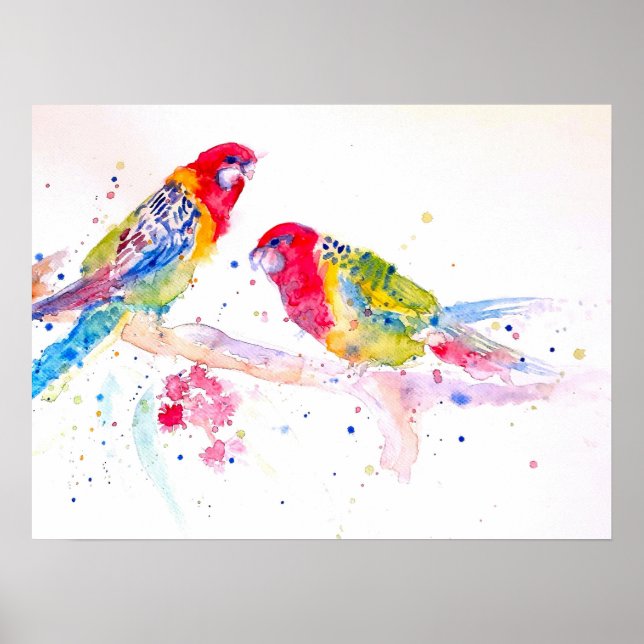 Poster der australischen Rosella Parrot Watercolor (Vorne)