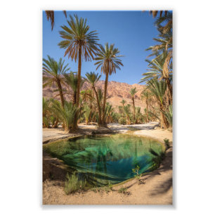 Poster der Marrakesch-Oase