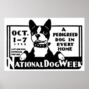 Poster der National Dog Week 1933