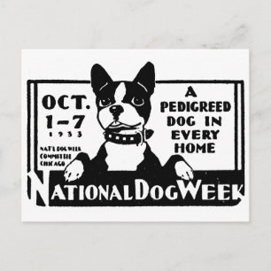 Poster der National Dog Week 1933 Postkarte
