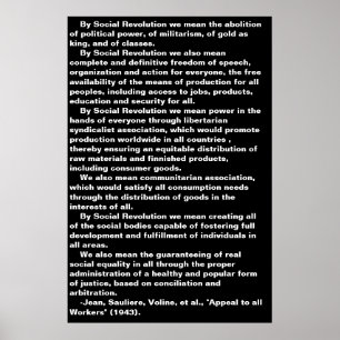Poster der sozialen Revolution