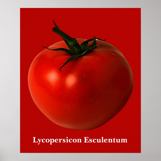 Poster der Tomaten (Vorne)