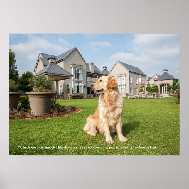 Poster des Goldenen Retriever mit Zitat (Vorne)