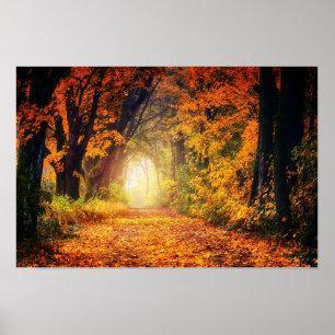 Poster des Herbsttunnels
