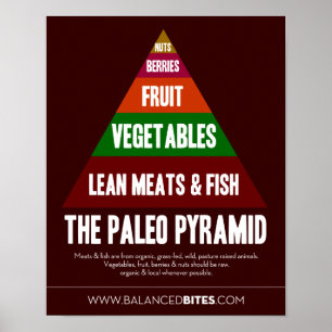 Poster: Die Paleo-Pyramide Poster