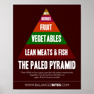 Poster: Die Paleo-Pyramide Poster