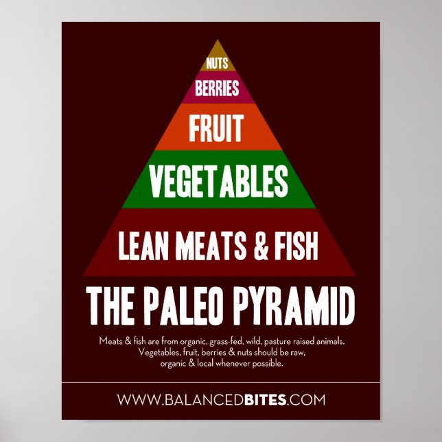 Poster: Die Paleo-Pyramide Poster (Vorne)