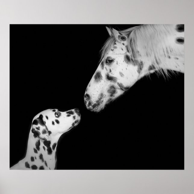 Poster dottiert (Vorne)