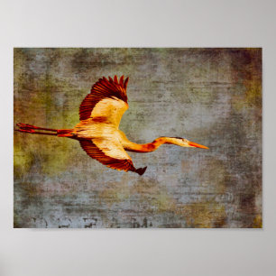 Poster-Dream World Poster