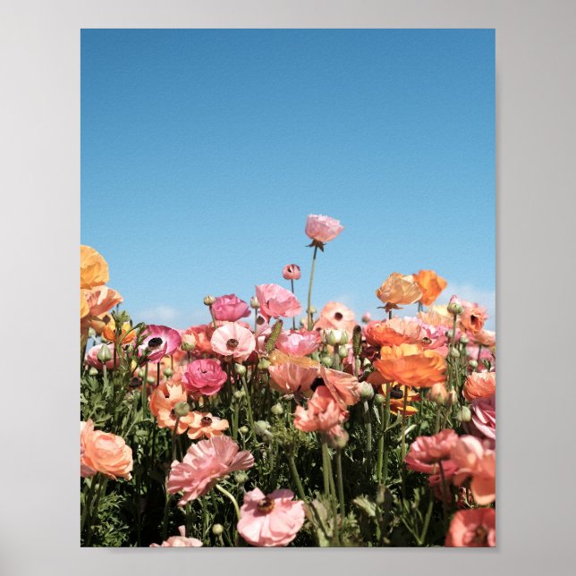 Poster druck von Feld mit farbenfrohen Blumen (Vorne)