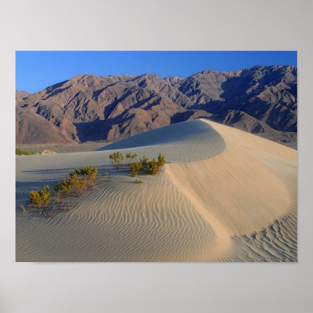 Poster "Dunes and Mountains" vom 14.95 Uhr (Vorne)