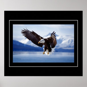 Poster-Eagle Poster