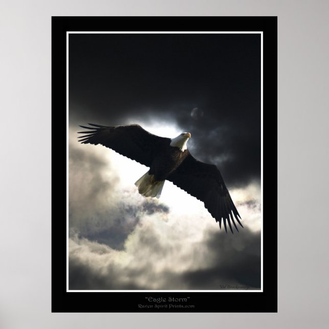 Poster "Eagle Storm" (Vorne)