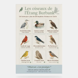 Poster éducatif – Les oiseaux de l’Étang Burbank (