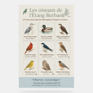 Poster éducatif – Les oiseaux de l’Étang Burbank (