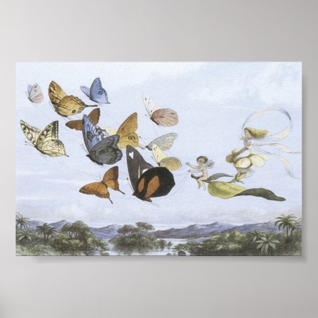 Poster - Fairies reiten Schmetterlinge (Vorne)