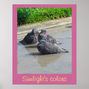 Poster - Farben des Sonnenlichts