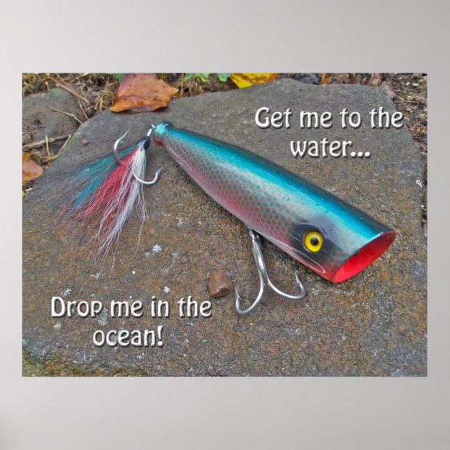 Poster Fishing Lure "Bring mich ins Wasser.." (Vorne)