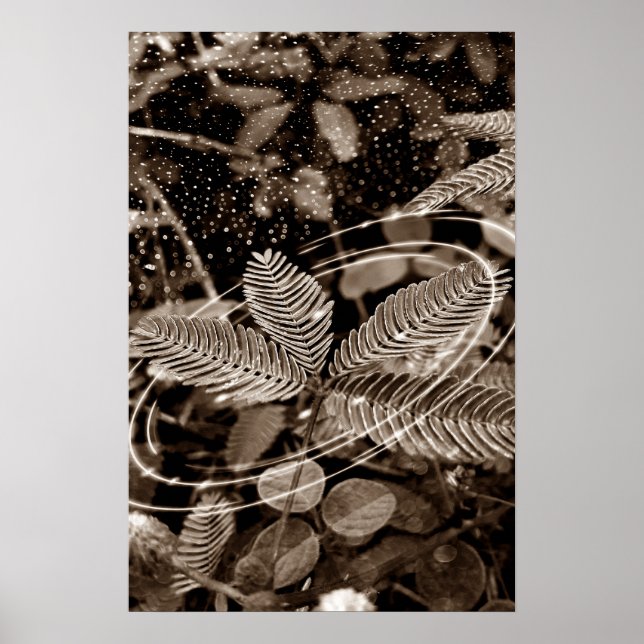 Poster Folhas - Green (Vorne)