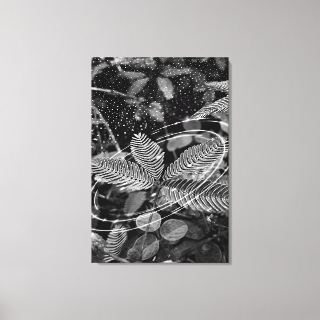 Poster Folhas - P&B Leinwanddruck (Vorderseite)