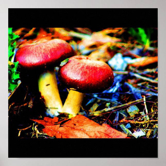 Poster-Food/Drink-18 Poster (Vorne)