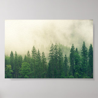 Poster Forest