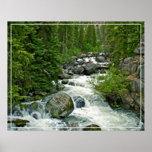 Poster-Forest-Fluss Poster