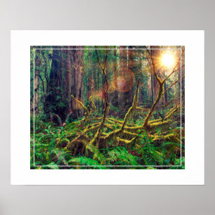 Poster-Forest Poster