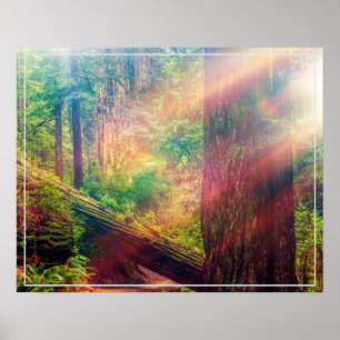 Poster-Forest Poster