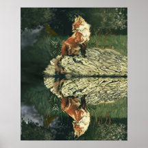 Poster - Fox am Fluss