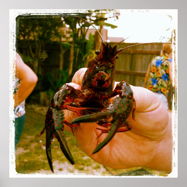 Poster für große Krebse-Fotos (Vorne)
