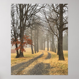 Poster für Herbst-Bäume