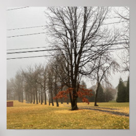 Poster für Herbst-Bäume