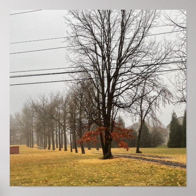 Poster für Herbst-Bäume (Vorne)