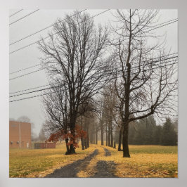 Poster für Herbst-Bäume