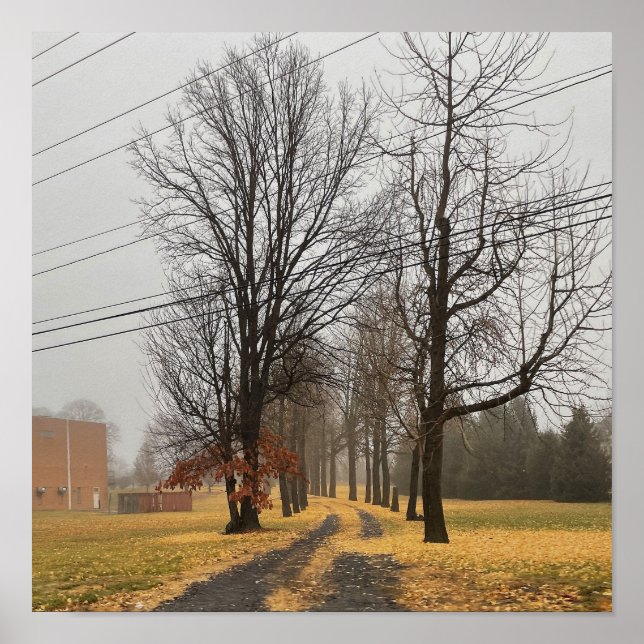 Poster für Herbst-Bäume (Vorne)
