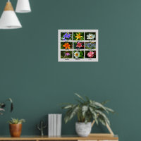 Poster für Makro-Blume