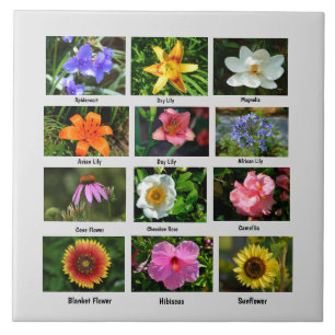 Poster für Makro-Blume Fliese