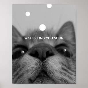 Poster für Schwarz/Weiß-Katzen