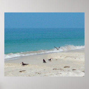 Poster für Surfjäger