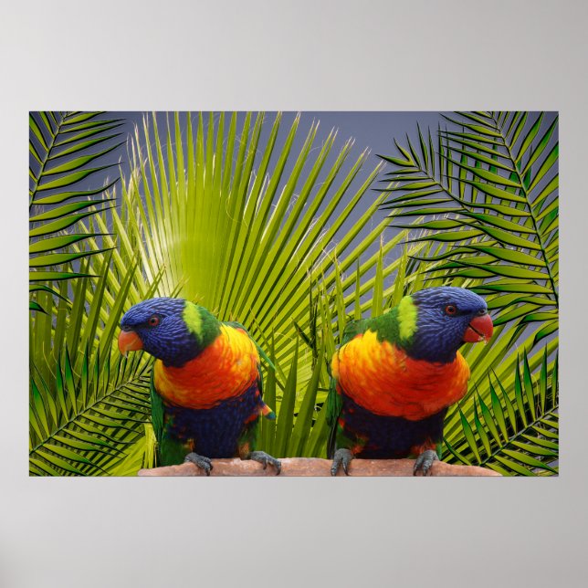 Poster für tropische Vögel (Vorne)