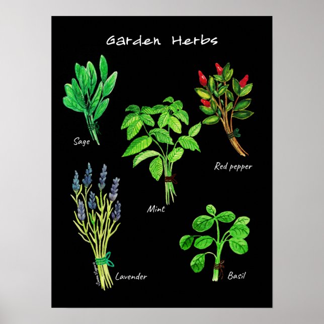 POSTER GARDEN HERBS (Vorne)