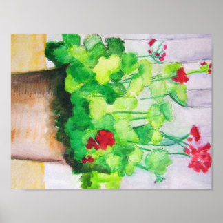 Poster - Geranien im August